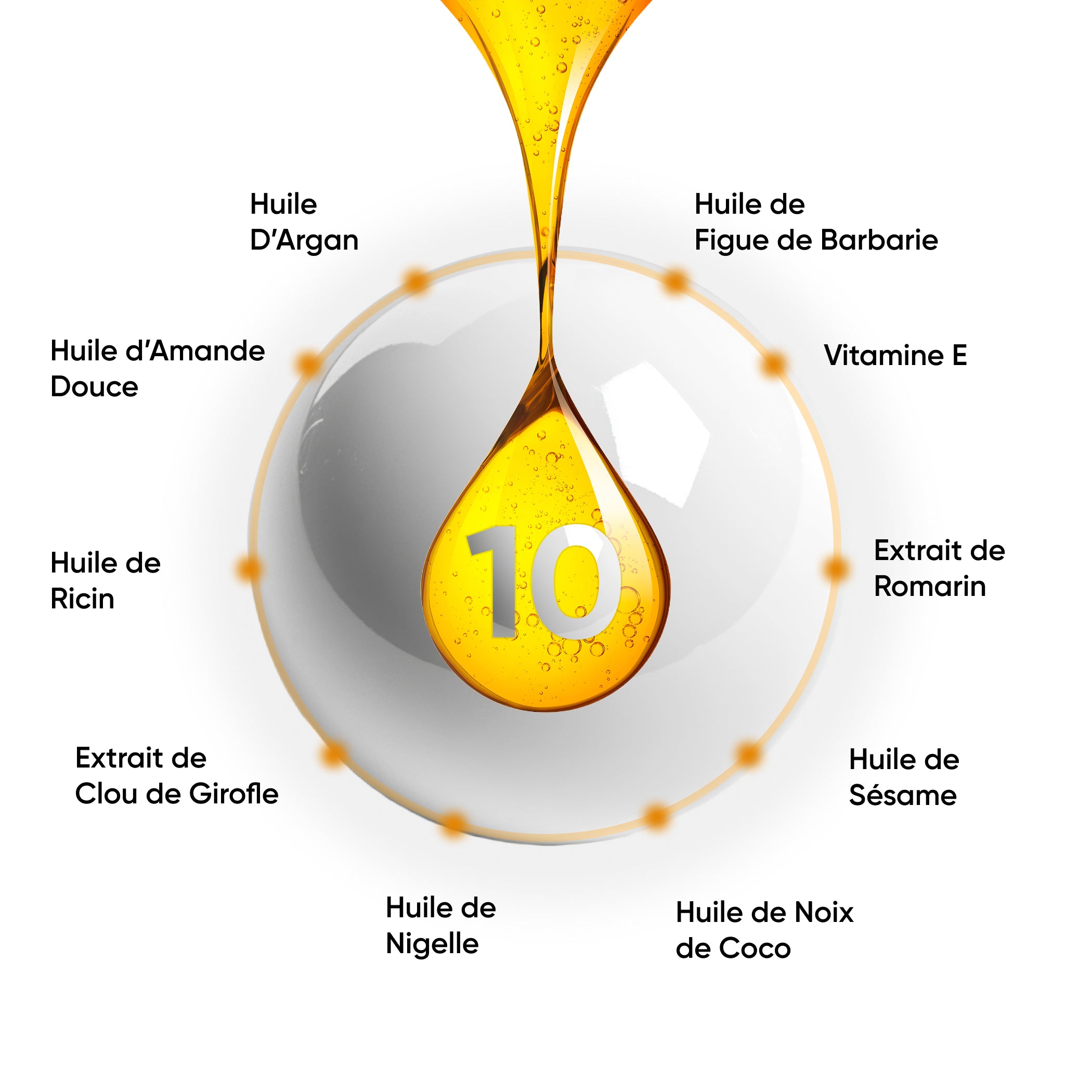 Composition Huile Activ Hair : 10 huiles et actifs végétaux, schéma